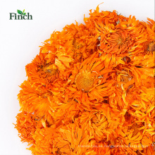 Finch New Arrival té de flor seca Calendula o caléndula